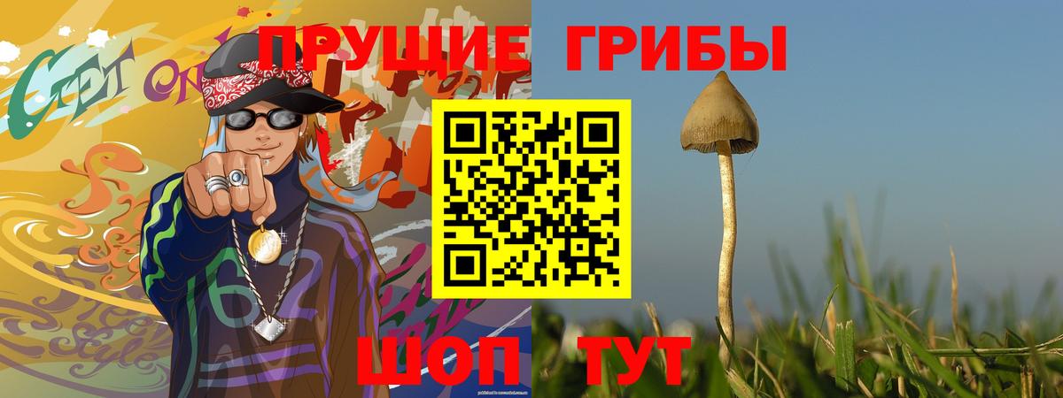 Псилоцибиновые грибы Psilocybine cubensis  Галлюциногенные грибы мицелий  Гулькевичи  Вход с VPN 